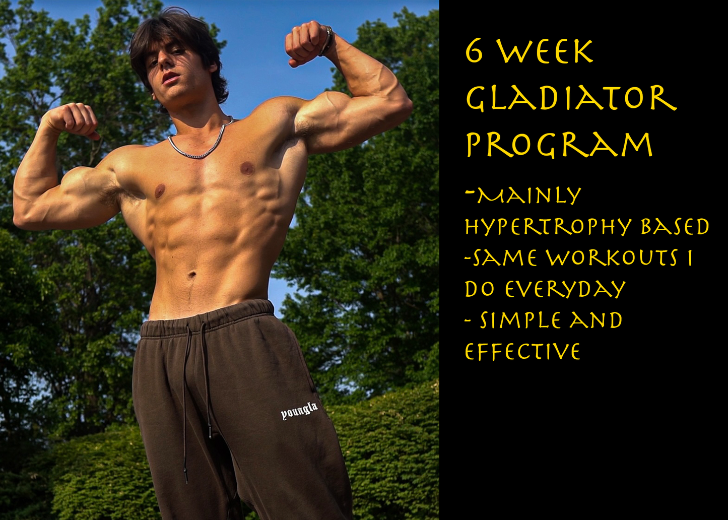 Gladiator Program